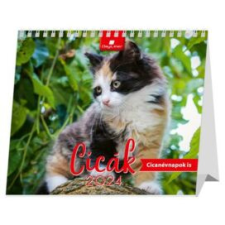 DAYLINER Naptár, asztali, álló, DAYLINER "Cicák" naptár, kalendárium