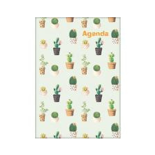 DAYLINER Naptár, tervező, A5, heti, DAYLINER, \"Colors\", Cactus határidőnapló