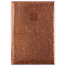 DAYLINER Naptár, tervező, A5, heti, DAYLINER, "Mirror", bronz határidőnapló