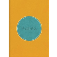 DAYLINER Naptár, tervező, A5, napi, DAYLINER "Central", sárga-türkiz határidőnapló