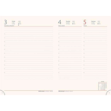 DAYLINER Naptár, tervező, A5, napi, DAYLINER, &quot;MyPastel&quot;, lila naptár, kalendárium