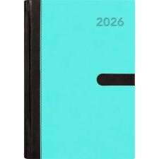 DAYLINER Naptár, tervező, A5, napi, DAYLINER, Winner, kék (NWA5NKU) határidőnapló