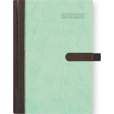 DAYLINER Naptár, tervező, A5, napi, DAYLINER "Winner", menta határidőnapló