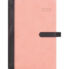 DAYLINER Naptár, tervező, A5, napi, DAYLINER, "Winner", világos rózsaszín határidőnapló