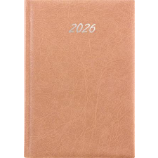 DAYLINER Naptár, tervező, B5, heti, DAYLINER, Rebel, bézs (NRB5BEU) határidőnapló