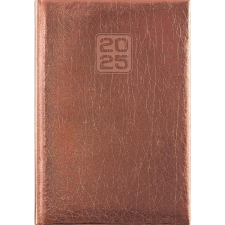 DAYLINER Naptár, tervező, B6, heti, DAYLINER, "Mirror", bronz határidőnapló