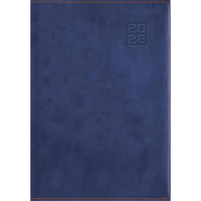 DAYLINER Square Naptár tervező A5 napi kék 2026 határidőnapló