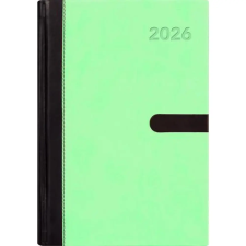 DAYLINER Winner Naptár tervező A5 napi 2026 menta határidőnapló