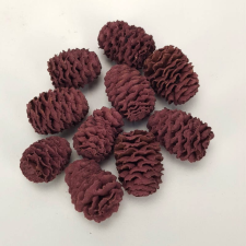 DC Cédrus toboz mályva (2-3cm) 10db/cs. dekorációs kellék