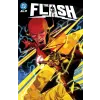DC Comics DC K.O. the Flash | Christopher Cantwell,Vasco Georgiev