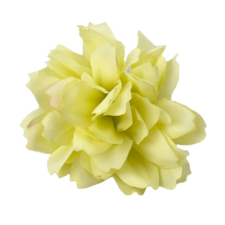 DC Kerti szegfű zöldessárga dekorációs kellék