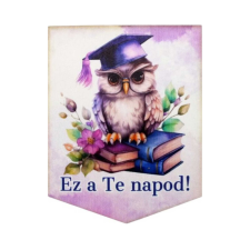 DC Nyomtatott dekorkarton - Ez a Te napod! dekorációs kellék