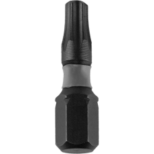 DEDRA Bit Behajtó Torx T40x25 mm 1/4" 10 db (18A53T400-10) szerszám kiegészítő