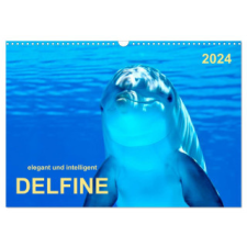  Delfine - elegant und intelligent (Wandkalender 2024 DIN A3 quer), CALVENDO Monatskalender – Peter Roder naptár, kalendárium