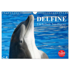 Delfine - Lächelnde Intelligenz (Wandkalender 2024 DIN A4 quer), CALVENDO Monatskalender – Elisabeth Stanzer naptár, kalendárium