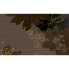  Delicate Brown C INSERTO  30 x 50 csempe
