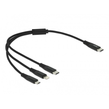 DELOCK 87148 30cm 3 az 1-ben USB-C - Lightning/MicroUSB/USB-C töltő kábel kábel és adapter