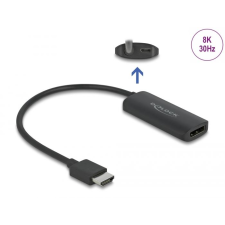 DELOCK HDMI-A apa - DisplayPort anya adapter 8K (64213) (delock64213) kábel és adapter