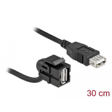 DELOCK Keystone modul, USB 2.0 A-csatlakozóhüvely 110 &gt; USB 2.0 A-csatlakozóhüvely, kábellel fekete egyéb hálózati eszköz