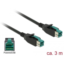 DELOCK Powered USB kábel apa 12V > PoweredUSB apa 12V 3m (85494) (DE85494) kábel és adapter