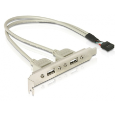 DELOCK Slot kivezetés 1x internal 9pin USB -> 2x U asztali számítógép kellék