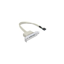 DELOCK USB 2.0 hátlapi kivezetés (2 port, low profile) kábel és adapter