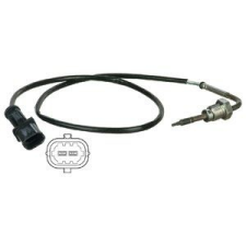 DELPHI Érzékelő, kipufogógáz hőmérséklet DELPHI TS30031 kipufogó alkatrész