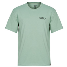 DICKIES Rövid ujjú pólók DICKIES SNAKE SS TEE Zöld EU XL férfi póló