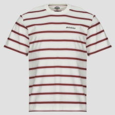 DICKIES Rövid ujjú pólók YORK STRIPE TEE SS EGRET Fehér EU L férfi póló