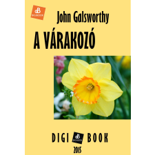 DIGI-BOOK A várakozó egyéb e-könyv