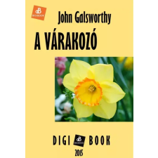 DIGI-BOOK A várakozó egyéb e-könyv