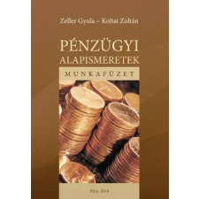 DigitalPaper Pénzügyi alapismeretek - munkafüzet egyéb e-könyv