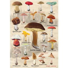 Dino gombapuzzle kollázs 1000 darab puzzle, kirakós