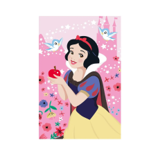  Disney Hercegnők polár takaró - 100 x 150 cm - 2 babaágynemű, babapléd