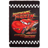 Disney Verdák Thunder polár takaró, pléd 100x150 cm Nr1