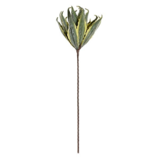 DKD Home Decor Dekor növény DKD Home Decor Aloe vera EVA (Etil-vinil-acetát) (37 x 95 cm) dekoráció