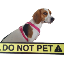 Dogledesign Do not pet kutyahám nyakörv, póráz, hám kutyáknak