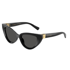 Dolce & Gabbana DG4497 501/87 Black Dark Grey napszemüveg