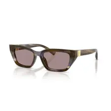 Dolce&Gabbana DG4532 3447LA STRIPED OLIVE VIOLET napszemüveg napszemüveg
