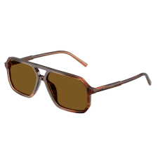 Dolce & Gabbana DG4541 348183 Brown On Striped Brown Dark Brown Polarized napszemüveg napszemüveg