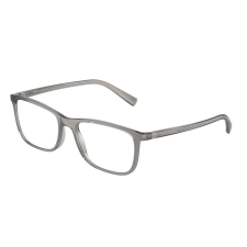 Dolce & Gabbana DG5027 3160 Transparent Grey Demo Lens szemüveg szemüvegkeret