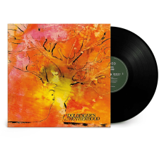  Doldinger's Motherhood - Motherhood (Vinyl LP (nagylemez)) jazz