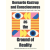 Dominik Wörner Bernardo Kastrup and Consciousness as the Ground of Reality | Dominik Wörner
