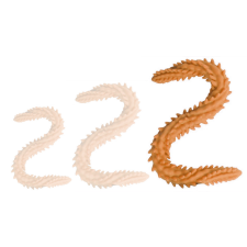 DoublePlayz Scolop Double Dildo – 60 cm-es prémium dupla dildó műpénisz, dildó