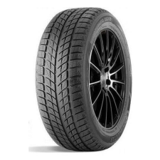 DoubleStar Doublestar DW09  [95] T  XL 225/45 R18 95T Téli gumi téli gumiabroncs
