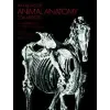 Dover Publications Inc. Atlas of Animal Anatomy for Artists | W Ellenberger