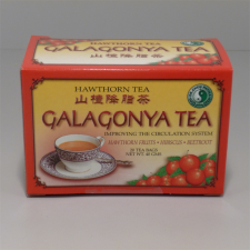 Dr.chen galagonya tea 20x2g 40 g gyógytea