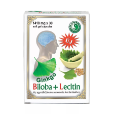  Dr. Chen GINKGO BILOBA + LECITIN KAPSZULA - 30DB vitamin és táplálékkiegészítő