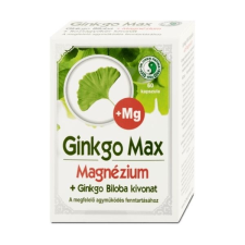 Dr. Chen Ginkgo MAX kapszula magnéziummal 60db vitamin és táplálékkiegészítő