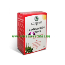  Dr. Chen KOHOFLU Lándzsás útifű kapszula - Nyugodt torok és légutak vitamin és táplálékkiegészítő